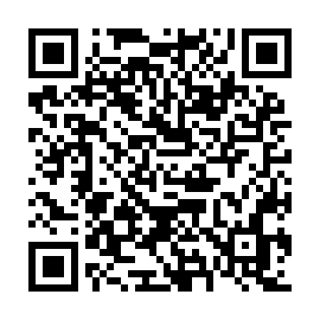 QR code for 696INN
