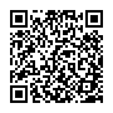 QR code for 696PLI