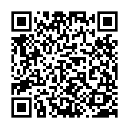 QR code for 699LNY