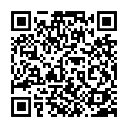 QR code for 699NSI