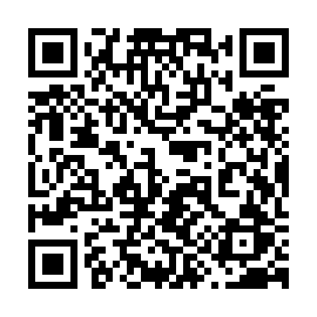 QR code for 699ZBR