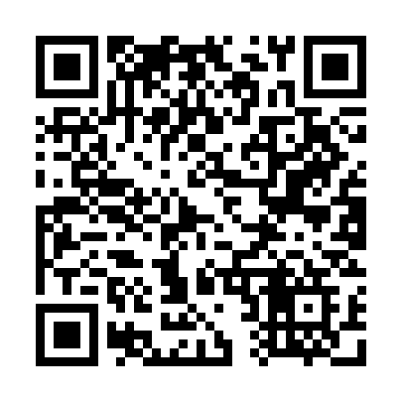QR code for 729CCG