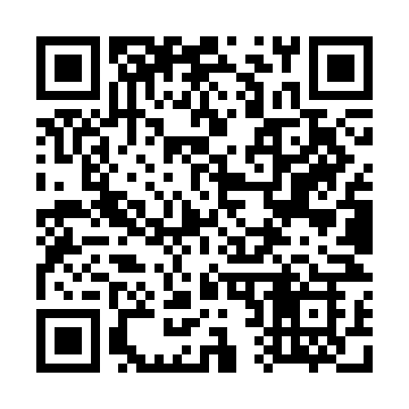QR code for 729SNK