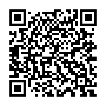 QR code for 731PIN