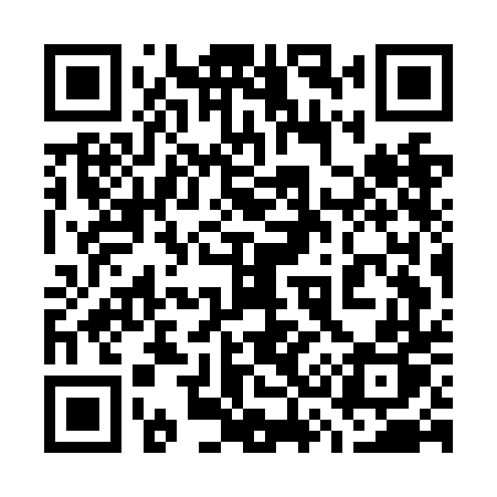 QR code for 737NDP