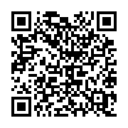 QR code for 737SIE