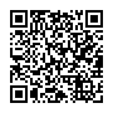 QR code for 737SRV