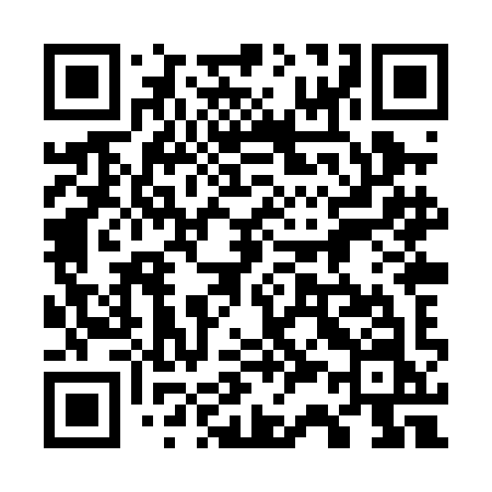 QR code for 738PIN