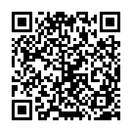 QR code for 738SUB
