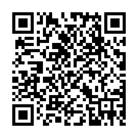 QR code for 767PYT