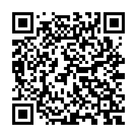 QR code for 768SVN