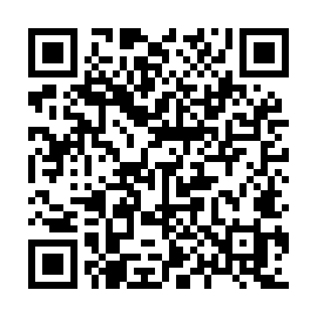 QR code for 809MMI