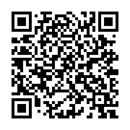 QR code for 810PIS