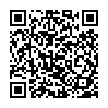 QR code for 838DYI