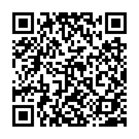 QR code for 856WPI