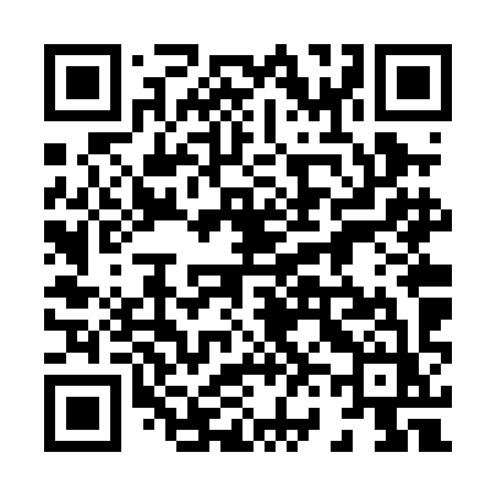 QR code for 866PIZ