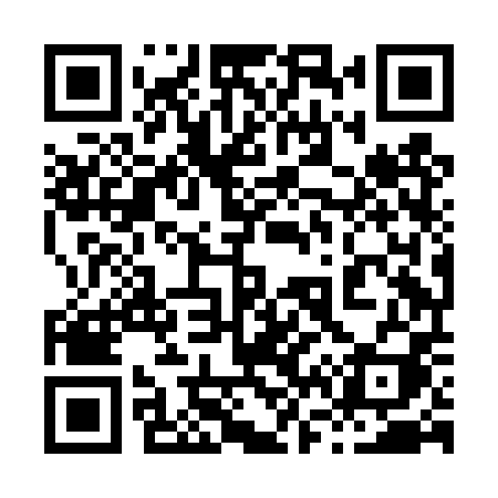 QR code for 868DPI