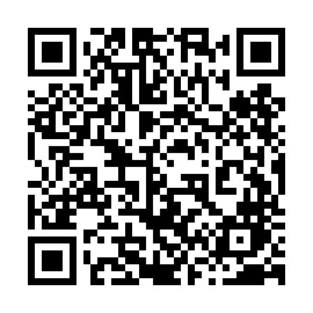 QR code for 869DNN