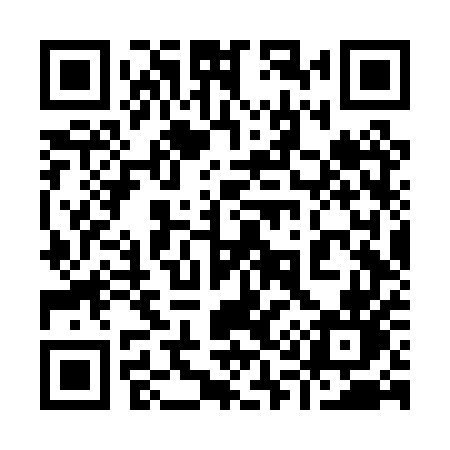 QR code for 916PUN
