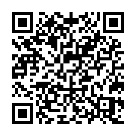 QR code for 917INS