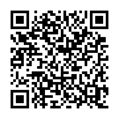 QR code for 919CHF