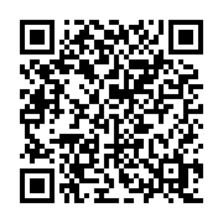 QR code for 919HCL