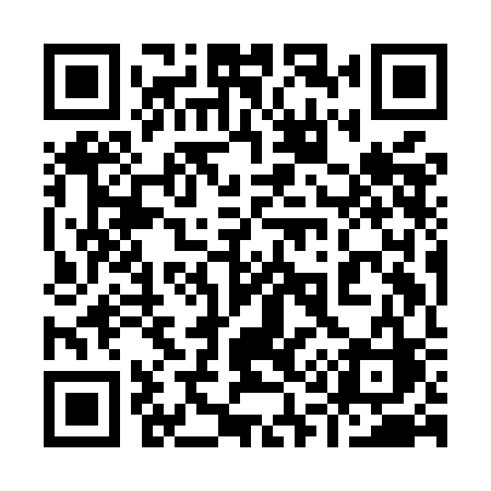 QR code for 919MCC