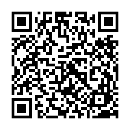 QR code for 919NFL