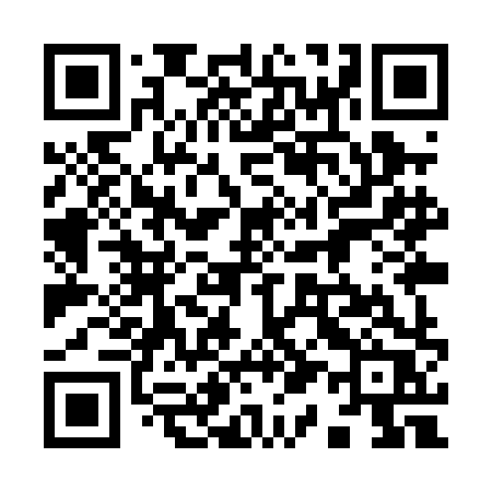 QR code for 919PHR
