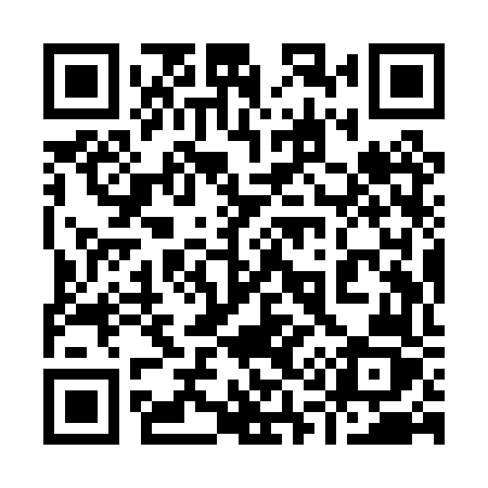 QR code for 919PVZ