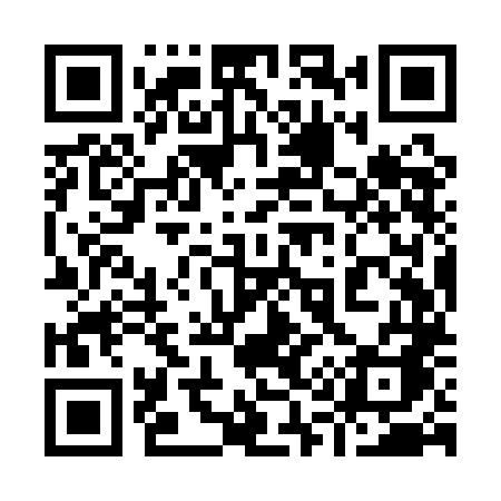 QR code for 919QLA