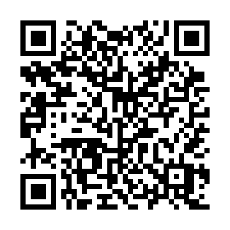 QR code for 919SDT