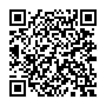 QR code for 919TIY