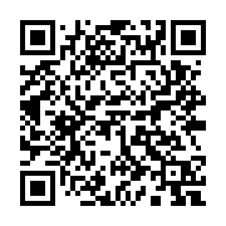 QR code for 919USP