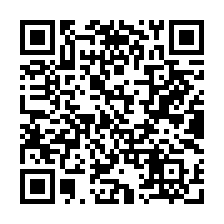 QR code for 919VIS