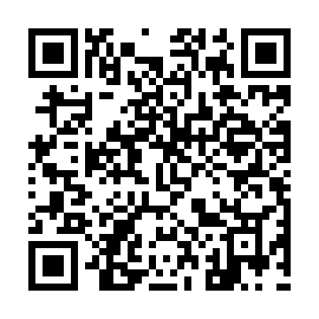 QR code for 925ICO