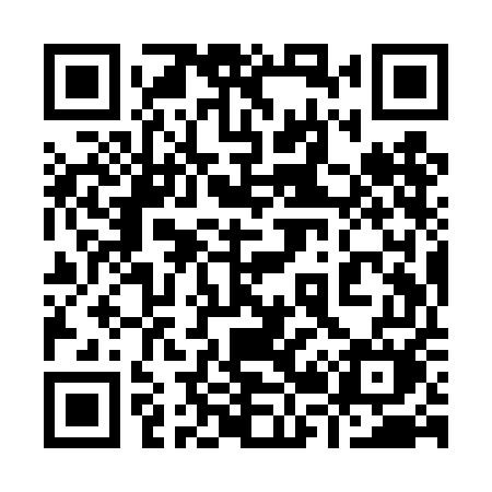 QR code for 929TEM