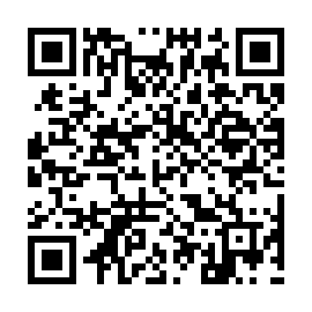 QR code for 950SLV