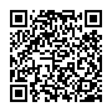 QR code for 951DIY