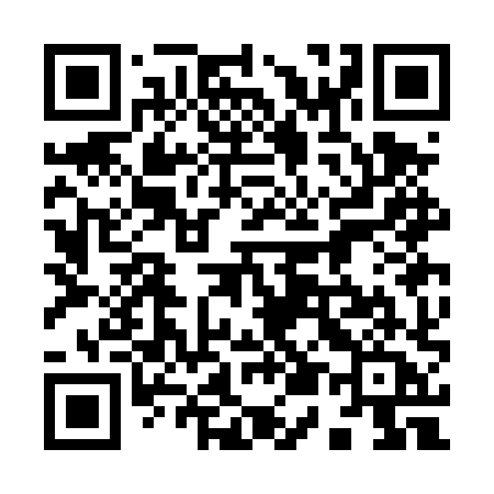 QR code for 953DXA