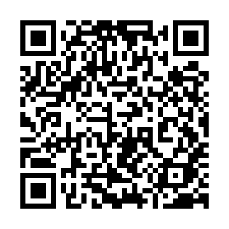 QR code for 953EXI