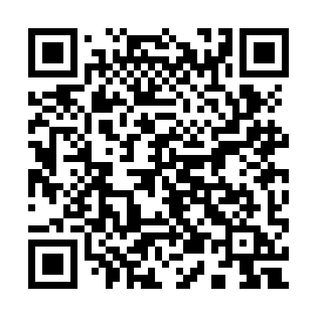 QR code for 953JIA