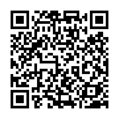 QR code for 954DSI