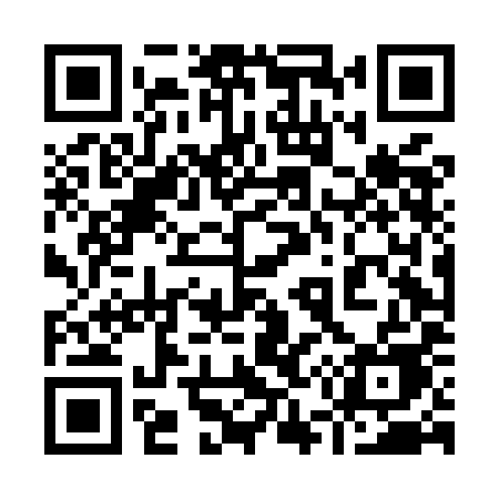 QR code for 954MIE