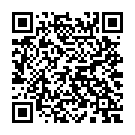 QR code for 954PRG