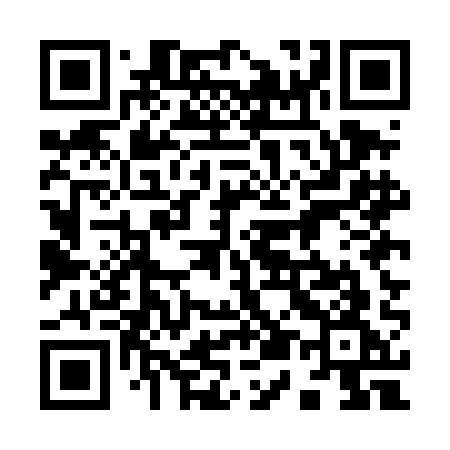 QR code for 955DAG