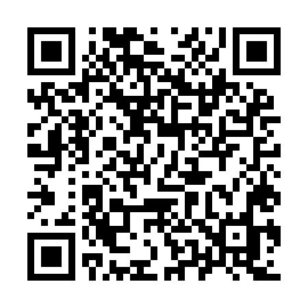 QR code for 955ILO