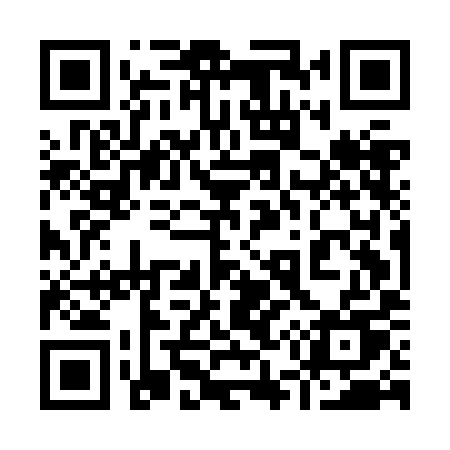 QR code for 955JIU