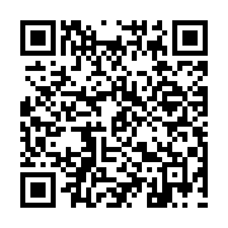 QR code for 955MAM