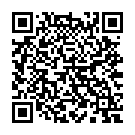 QR code for 955PSZ